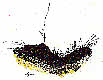 click to zoom