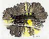 click to zoom